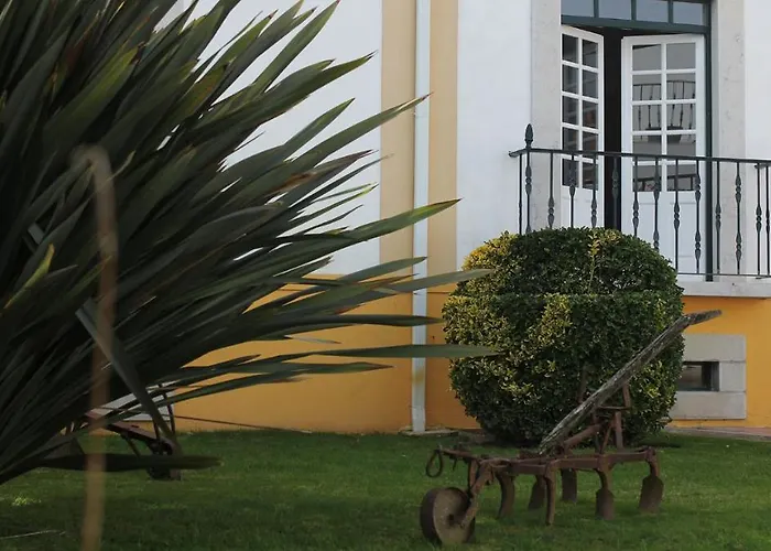 Real D 4* Όμπιδος